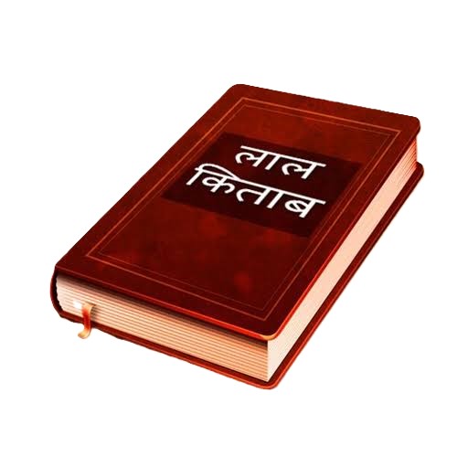 Lal Kitab Image